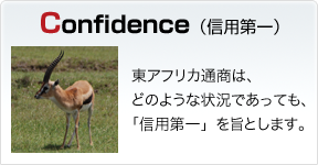 Confidence（信用第一）